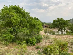 Fazenda / Sítio / Chácara com 4 Quartos à venda, 144000m² no Zona Rural, Faina - Foto 5