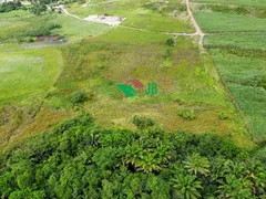 Fazenda / Sítio / Chácara à venda, 4000m² no Povoado, Pedras de Fogo - Foto 9