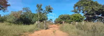 Fazenda / Sítio / Chácara com 2 Quartos à venda, 770m² no Zona Rural, Ibiaí - Foto 17