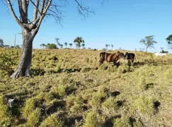 Fazenda / Sítio / Chácara com 3 Quartos à venda, 103m² no Zona Rural, Colinas do Sul - Foto 9