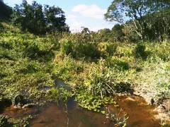 Fazenda / Sítio / Chácara à venda, 30000m² no Centro, São Luiz do Paraitinga - Foto 11