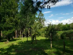 Fazenda / Sítio / Chácara com 3 Quartos à venda, 150m² no Zona Rural, Quadra - Foto 2