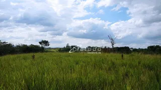 Terreno / Lote Comercial à venda, 36000m² no Lambarí, Guararema - Foto 3