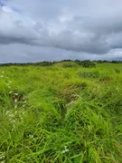 Fazenda / Sítio / Chácara com 3 Quartos à venda, 21600m² no Zona Rural, Monte Alegre - Foto 8