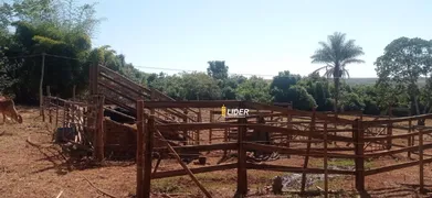 Fazenda / Sítio / Chácara à venda, 4m² no Sibipiruna, Araguari - Foto 2