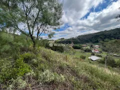 Terreno / Lote / Condomínio à venda, 13000m² no Vale dos Vinhedos, Bento Gonçalves - Foto 49