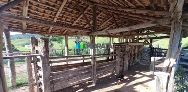 Fazenda / Sítio / Chácara com 1 Quarto à venda, 670m² no Zona Rural, Campo Belo - Foto 16