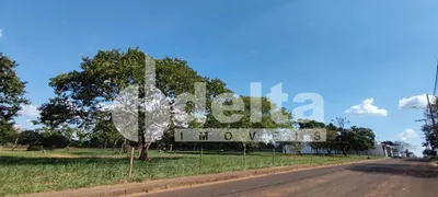 Terreno / Lote / Condomínio à venda, 401m² no Jardim Karaíba, Uberlândia - Foto 1