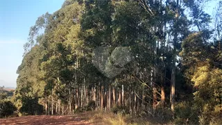 Fazenda / Sítio / Chácara com 1 Quarto à venda, 145200m² no Centro, Turvolândia - Foto 1