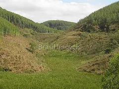 Terreno / Lote / Condomínio à venda, 20100m² no , Coronel Pacheco - Foto 18