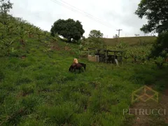 Fazenda / Sítio / Chácara com 5 Quartos à venda, 400m² no Vila Esmeralda, Campinas - Foto 25