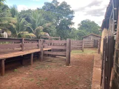 Fazenda / Sítio / Chácara com 3 Quartos à venda, 6m² no Centro, São Simão - Foto 4