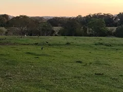 Fazenda / Sítio / Chácara com 2 Quartos à venda, 50m² no Zona Rural, Guareí - Foto 22