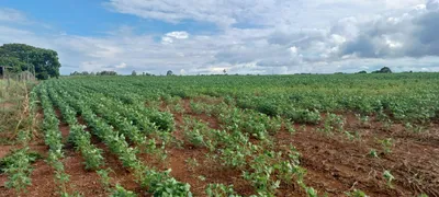 Fazenda / Sítio / Chácara com 2 Quartos à venda, 420000m² no Paranoá, Brasília - Foto 4