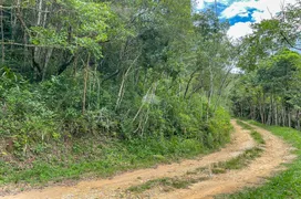 Fazenda / Sítio / Chácara à venda, 200000m² no Bocaiuva Do Sul, Bocaiúva do Sul - Foto 4