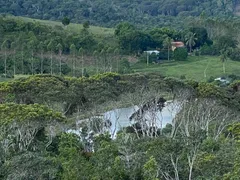 Fazenda / Sítio / Chácara com 4 Quartos à venda, 900000m² no Zona Rural, Itanagra - Foto 16