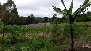 Fazenda / Sítio / Chácara com 5 Quartos à venda, 250m² no Area Rural de Capao Bonito, Capão Bonito - Foto 5