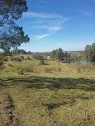 Fazenda / Sítio / Chácara com 2 Quartos à venda, 145200m² no Zona Rural, Monte Santo de Minas - Foto 10