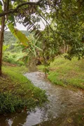 Fazenda / Sítio / Chácara com 4 Quartos à venda, 1200m² no Areias de Cima Guaporanga, Biguaçu - Foto 8