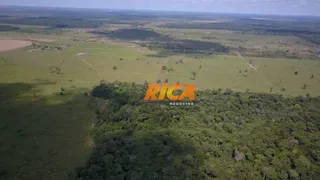 Fazenda / Sítio / Chácara à venda, 13060000m² no , Candeias do Jamari - Foto 4