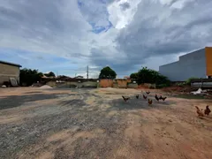 Galpão / Depósito / Armazém para alugar, 2500m² no Parque Residencial Aeroporto, Limeira - Foto 8