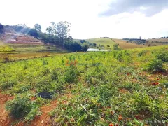 Fazenda / Sítio / Chácara com 3 Quartos à venda, 40000m² no Passa Tres, Tuiuti - Foto 4