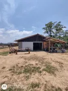 Fazenda / Sítio / Chácara com 2 Quartos à venda, 25000m² no Centro, Canelinha - Foto 6