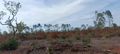 Terreno / Lote / Condomínio à venda, 20000m² no Sao Vicente, Baldim - Foto 24