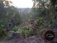 Fazenda / Sítio / Chácara com 2 Quartos à venda, 128m² no Taboão, Mogi das Cruzes - Foto 12