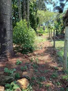 Fazenda / Sítio / Chácara com 3 Quartos à venda, 3000m² no Rio do Salto, Cascavel - Foto 4