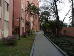 Apartamento com 3 Quartos à venda, 76m² no Claudia, Londrina - Foto 17