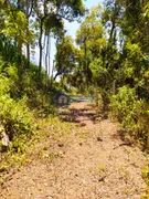 Fazenda / Sítio / Chácara com 3 Quartos à venda, 100m² no Serra da Cantareira, Mairiporã - Foto 7