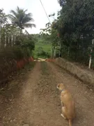 Fazenda / Sítio / Chácara com 2 Quartos à venda, 2500m² no Area Rural de Vitoria do Santo Antao, Vitória de Santo Antão - Foto 65