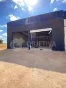 Galpão / Depósito / Armazém para alugar, 648m² no Shopping Park, Uberlândia - Foto 7