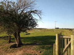 Fazenda / Sítio / Chácara com 3 Quartos à venda, 200m² no Centro, Viamão - Foto 23