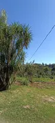 Fazenda / Sítio / Chácara com 3 Quartos à venda, 24200m² no Rio do Salto, Cascavel - Foto 6