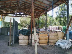 Fazenda / Sítio / Chácara com 2 Quartos à venda, 260m² no Conquista, Balneário Barra do Sul - Foto 8