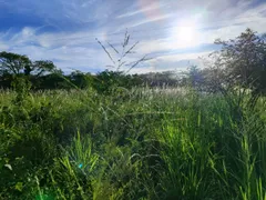 Fazenda / Sítio / Chácara à venda no Zona Rural, Glória do Goitá - Foto 5