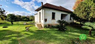 Fazenda / Sítio / Chácara à venda, 121000m² no Vale dos Vinhedos, Bento Gonçalves - Foto 2
