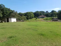 Fazenda / Sítio / Chácara com 1 Quarto à venda, 3200m² no Campina do Taquaral, São José dos Pinhais - Foto 4