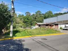 Terreno / Lote / Condomínio à venda, 627m² no Vila Jardim, Gramado - Foto 4