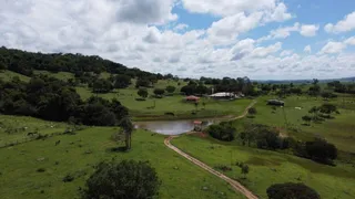 Fazenda / Sítio / Chácara com 4 Quartos à venda, 10m² no Zona Rural, Anicuns - Foto 12
