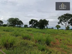 Fazenda / Sítio / Chácara à venda, 21000000m² no Zona Rural, Nossa Senhora do Livramento - Foto 12