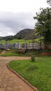 Fazenda / Sítio / Chácara com 5 Quartos à venda, 18000m² no Varginha, Itajubá - Foto 13