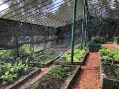 Fazenda / Sítio / Chácara com 6 Quartos à venda, 500m² no Centro, Mairiporã - Foto 34