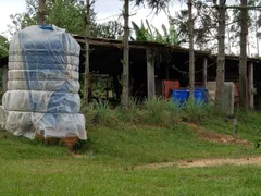 Fazenda / Sítio / Chácara com 3 Quartos à venda, 150m² no Zona Rural, Quadra - Foto 47