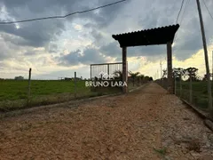 Fazenda / Sítio / Chácara com 4 Quartos à venda, 400m² no Vale Do Amanhecer, Igarapé - Foto 15
