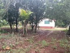 Fazenda / Sítio / Chácara com 2 Quartos à venda, 80m² no Area Rural de Itapetininga, Itapetininga - Foto 15