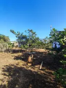 Fazenda / Sítio / Chácara com 3 Quartos à venda, 1500m² no Area Rural de Sete Lagoas, Sete Lagoas - Foto 24