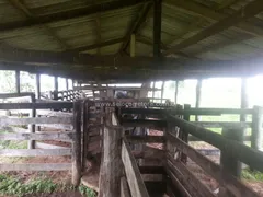 Fazenda / Sítio / Chácara com 1 Quarto à venda, 80000000m² no Zona Rural, Itiquira - Foto 30